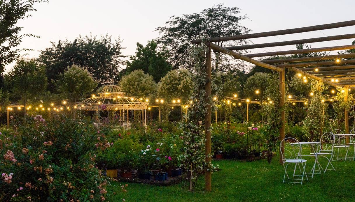 Le luci della sera nel roseto di Castello Quistini