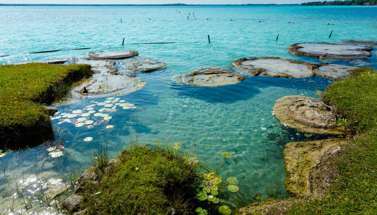 Stromatoliti della Laguna di Bacalar, Messico