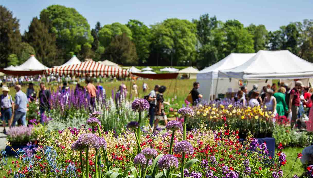 Fiori in festa: dai parchi ai giardini, gli eventi dove ammirare le più belle fioriture di primavera