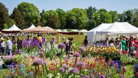 Fiori in festa: dai parchi ai giardini, gli eventi dove ammirare le più belle fioriture di primavera