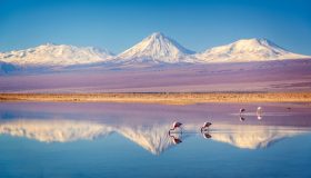 In armonia con il pianeta: ecco i Paesi più (e meno) connessi con la natura