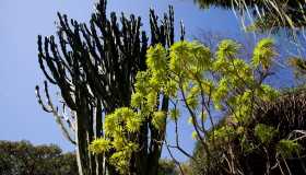 5 giardini mediterranei poco noti da scoprire in primavera
