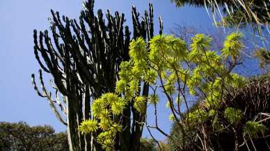 5 giardini mediterranei poco noti da scoprire in primavera