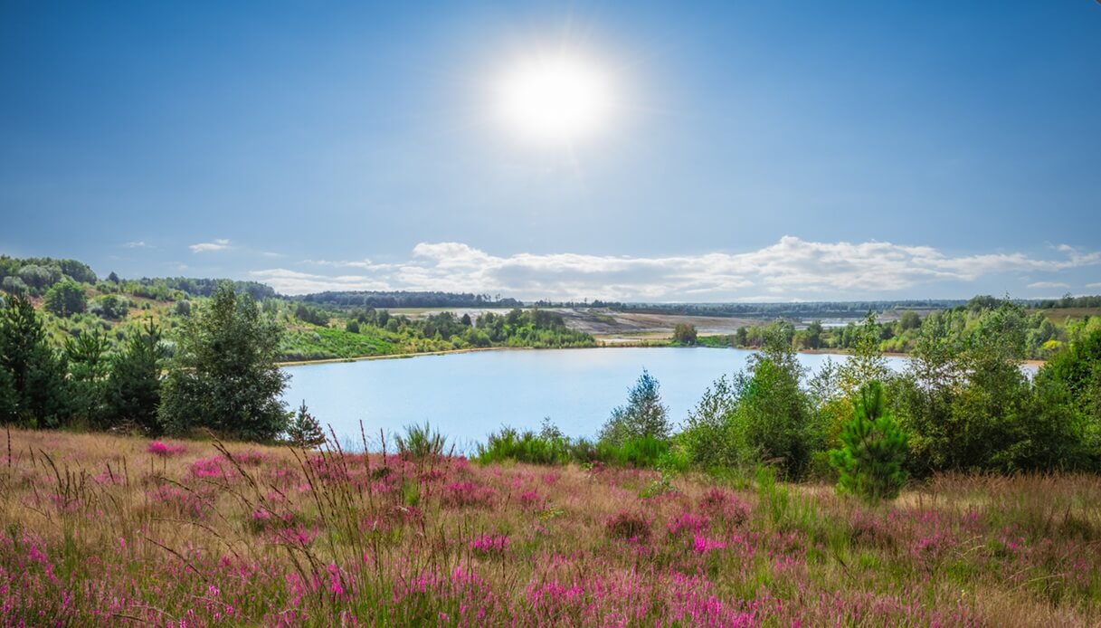 parchi naturali primavera europa