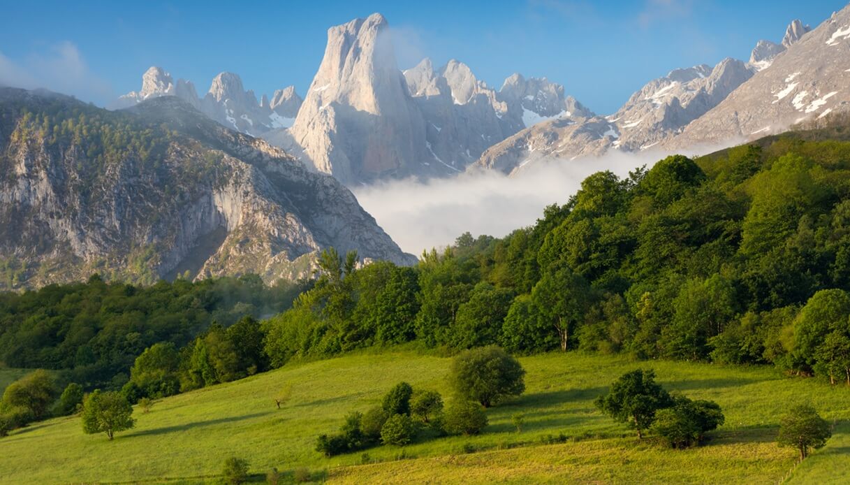 parchi naturali primavera europa