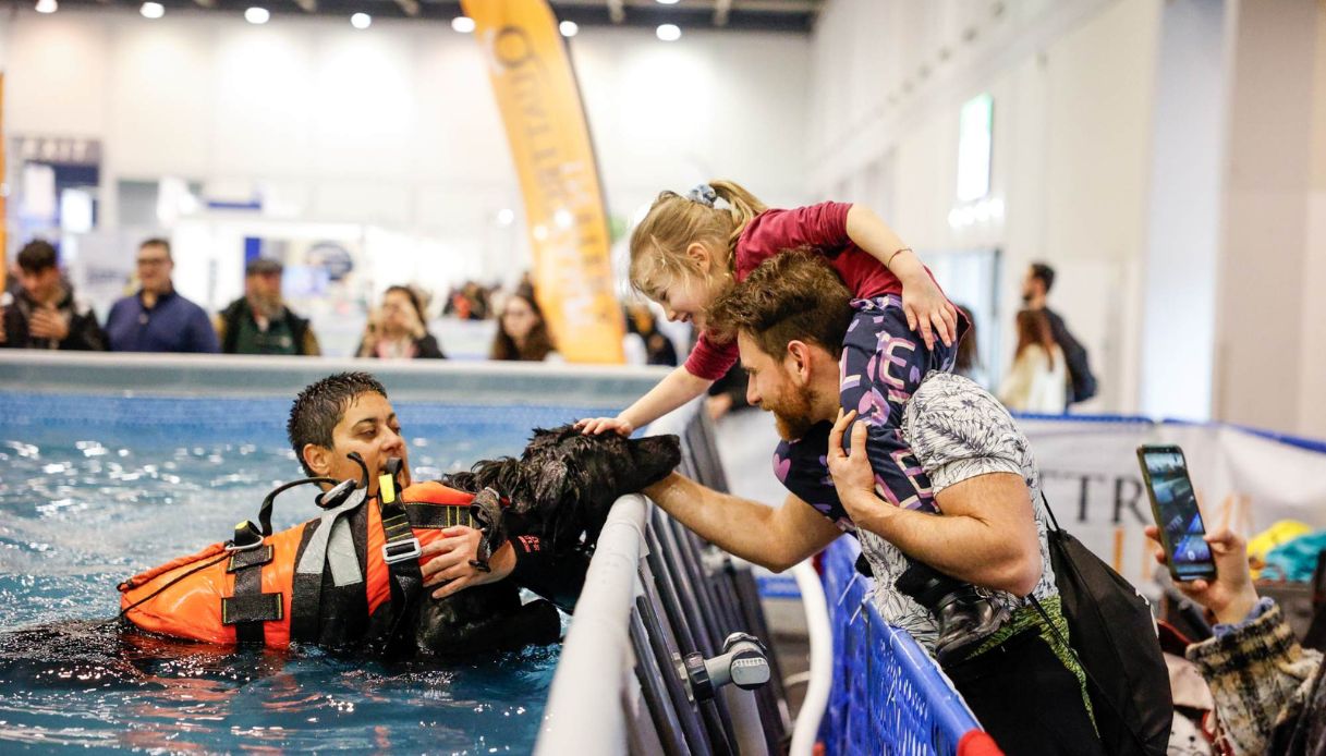 Acquadog a Quattrozampeinfiera, Napoli