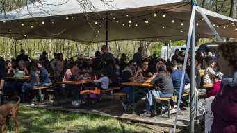 Dai tortelli alle uova, dai salumi al torrone, le sagre e gli eventi di Pasqua e Pasquetta 2026