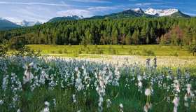 Dopo le Olimpiadi Milano Cortina 2026, tutti pazzi per la Valtellina