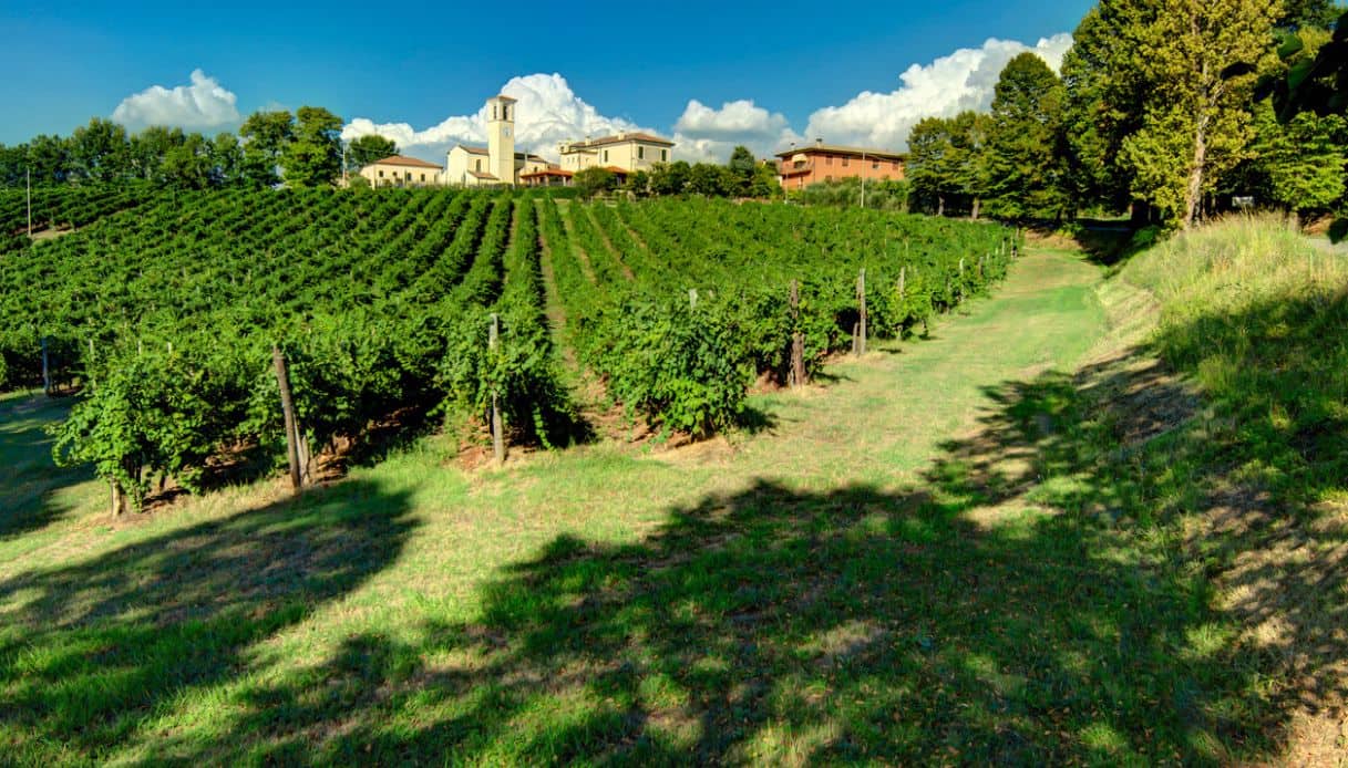 Vista di vigneti e un villaggio rurale nei Colli Euganei, Veneto
