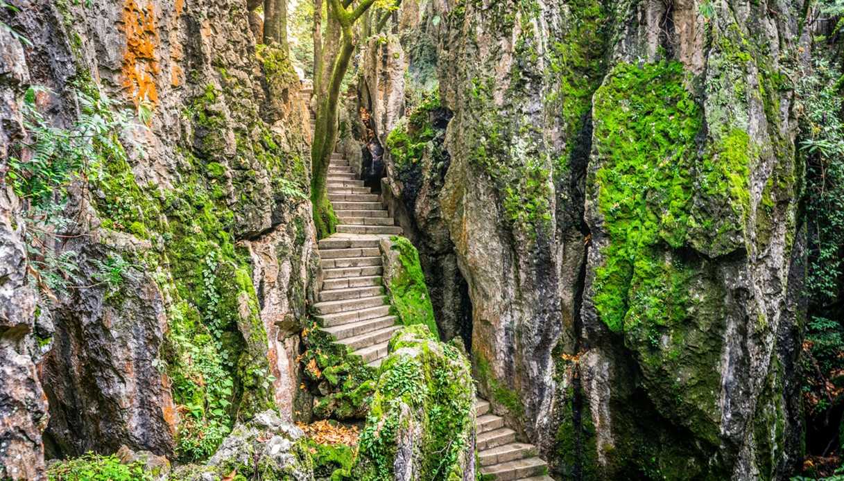 Strette scalinate si arrampicano nella foresta di Shilin