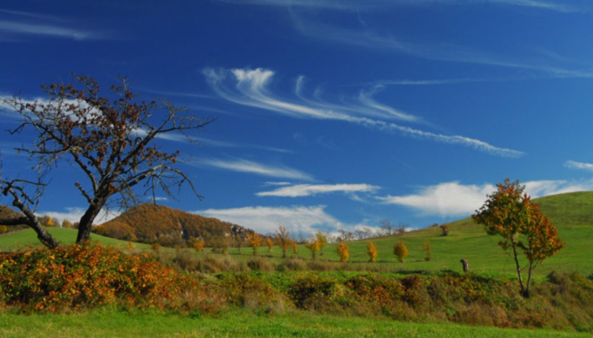Particolare del Cammino &rsquo;44 Sant&rsquo;Anna di Stazzema - Monte Sole