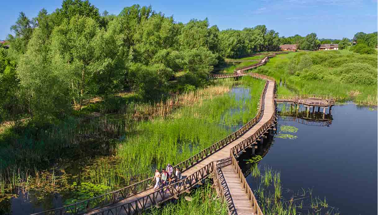 Parco-naturale-Kopački-Rit