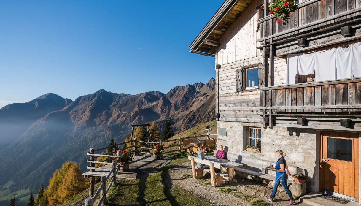Malghe in Fiore 2026: dal 16 maggio al 6 giugno 