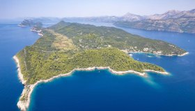 Šipan è l’isola d’oro delle Elafiti, tra palazzi rinascimentali, ulivi da record e porti quieti