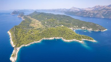 Šipan è l’isola d’oro delle Elafiti, tra palazzi rinascimentali, ulivi da record e porti quieti