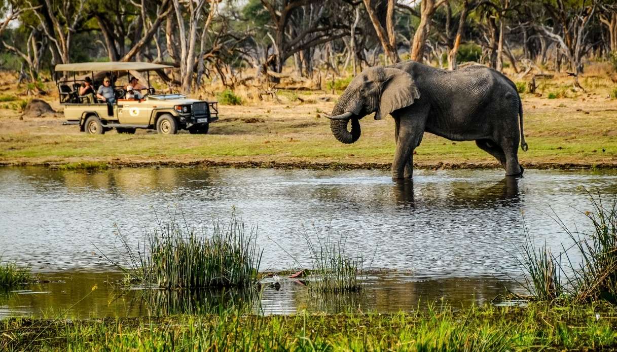 Safari con la jeep