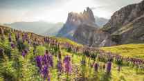 Curona de Gherdëina, il trekking “deluxe” che reinventa le Dolomiti tra comfort e alta quota