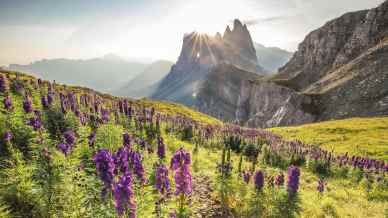 Curona de Gherdëina, il trekking “deluxe” che reinventa le Dolomiti tra comfort e alta quota