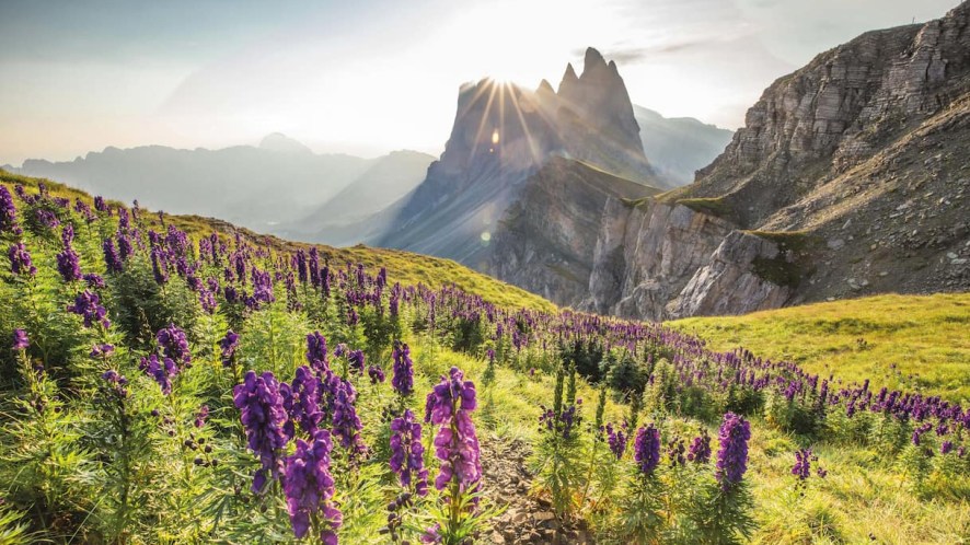 Curona de Gherdëina, il trekking “deluxe” che reinventa le Dolomiti tra comfort e alta quota