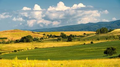 Sila: la fioritura unica nella Terra dei Laghi della Calabria