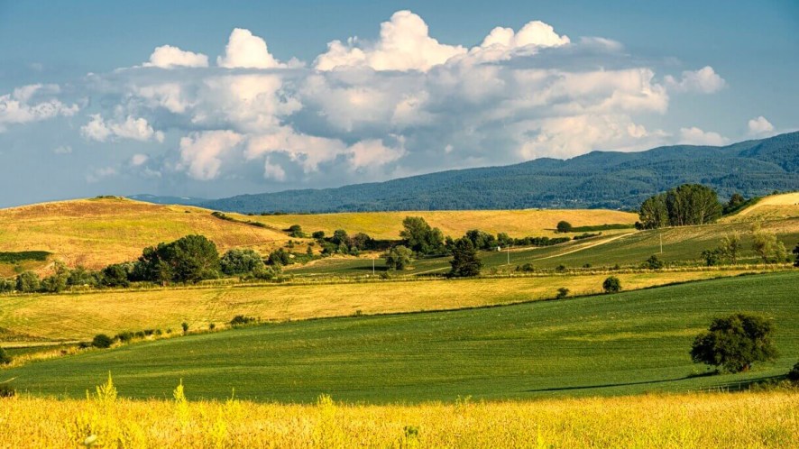 Sila: la fioritura unica nella Terra dei Laghi della Calabria