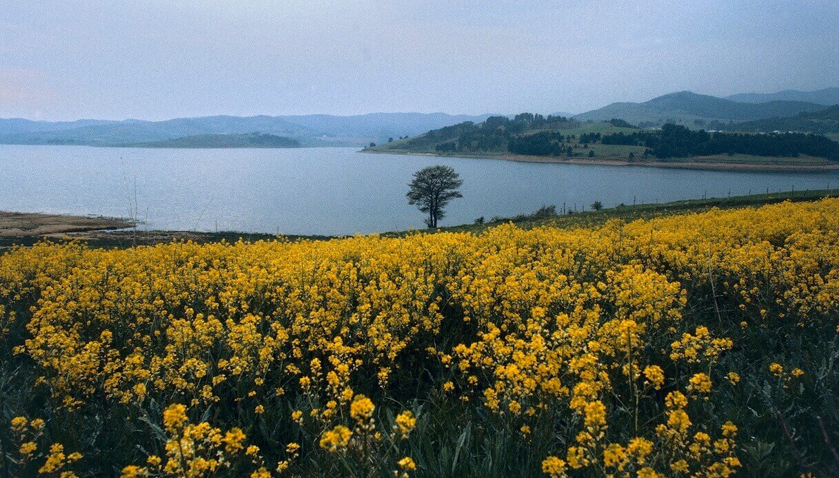 Parco Nazionale Sila Calabria Primavera fioritura Laghi