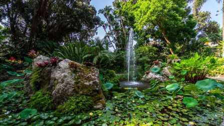 I Giardini La Mortella ricevono il Traveler’s Choice Awards 2026 di TripAdvisor