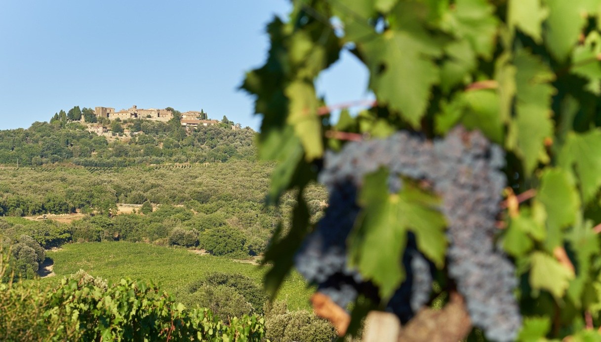 Molte vedute sulla campagna toscana compaiono nelle scene del film "Non è un paese per single"