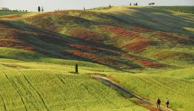 Le 5 passeggiate più belle da fare in primavera in Toscana tra fiori e colline