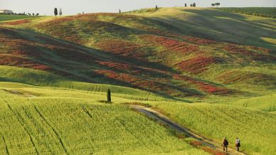 Le 5 passeggiate più belle da fare in primavera in Toscana tra fiori e colline