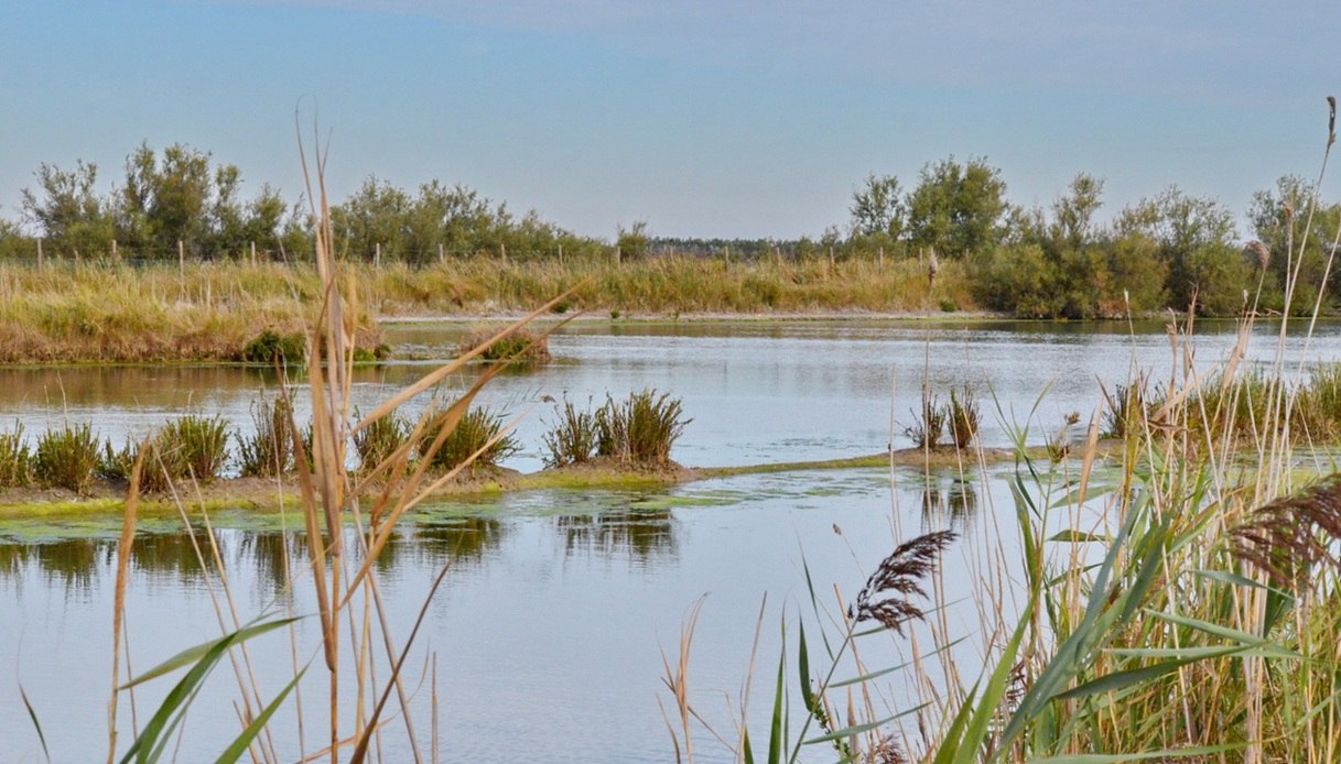 Tra i posti dov'è girata la nuova serie Sky di Davide Marengo c'è anche il Parco del Delta del Po