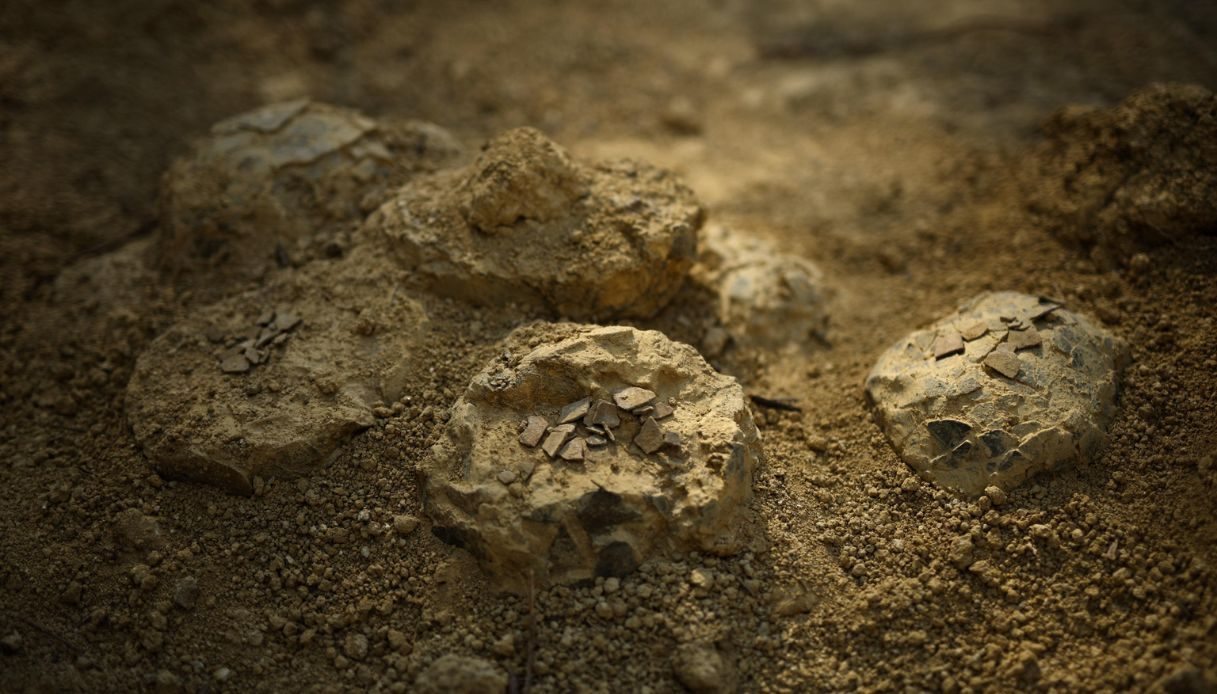 Uova di dinosauro in Francia