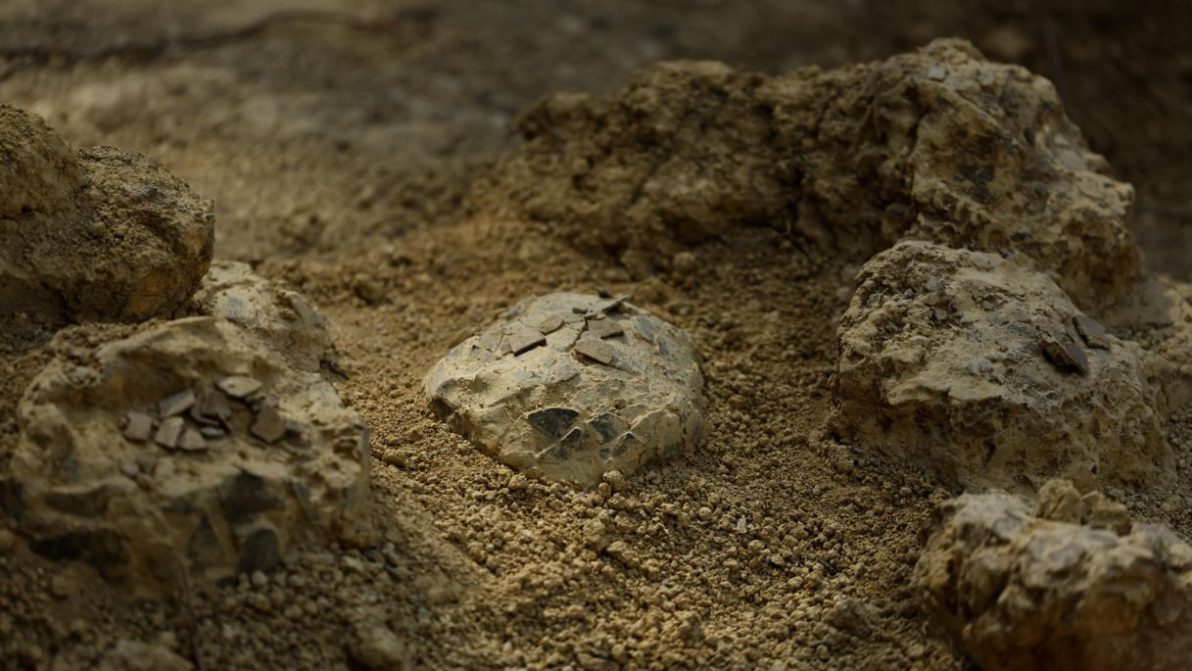 Scoperte oltre 100 uova di dinosauro in Francia: è il ritrovamento più importante al mondo