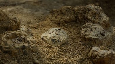 Scoperte oltre 100 uova di dinosauro in Francia: è il ritrovamento più importante al mondo