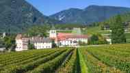 Abbazia di Novacella, ecco cosa sapere per visitarla