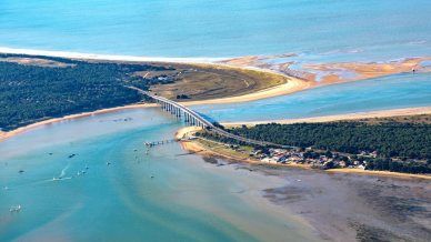 Il fascino di Noirmoutier, l’isola delle mimose tra sale, maree e villaggi bianchi sull’Atlantico francese