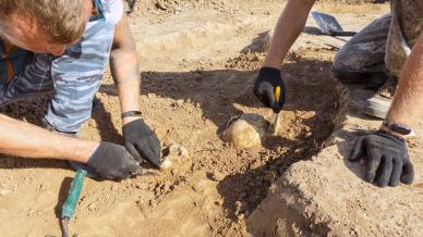 Nuovi scavi archeologici alla ricerca degli ultimi Neandertaliani all’Arma delle Manie