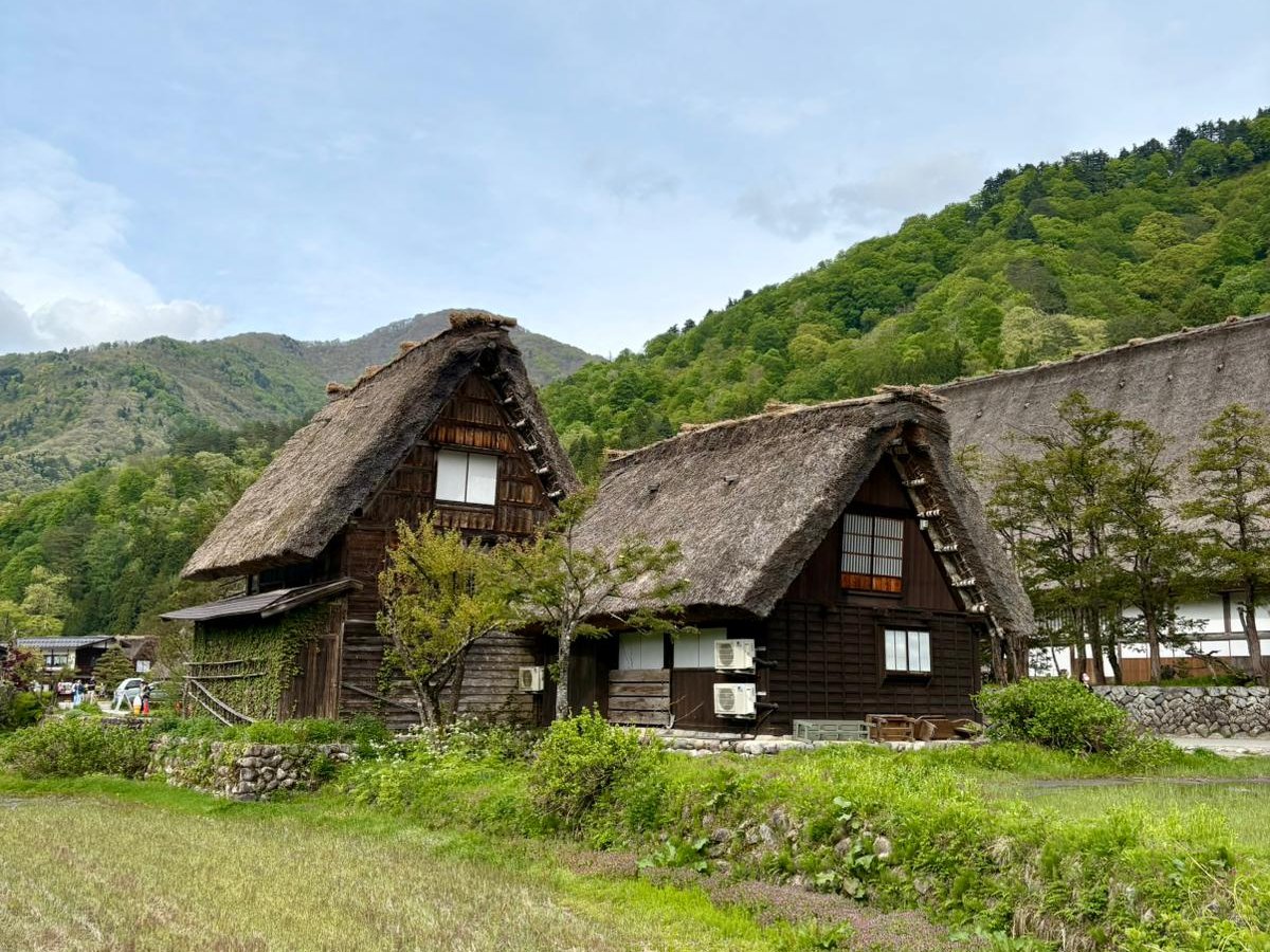 Shirakawa-go case