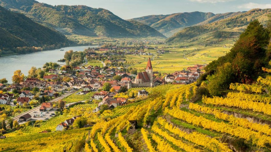 Il nastro di smeraldo lungo il fiume: Valle del Wachau, il tratto più poetico del Danubio