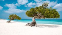 Le nuove biosfere UNESCO nel 2026: 14 paradisi naturali tutti da scoprire (con consapevolezza)