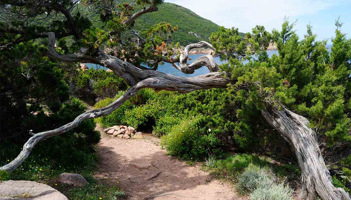 cala-tinnari-sardegna-nord