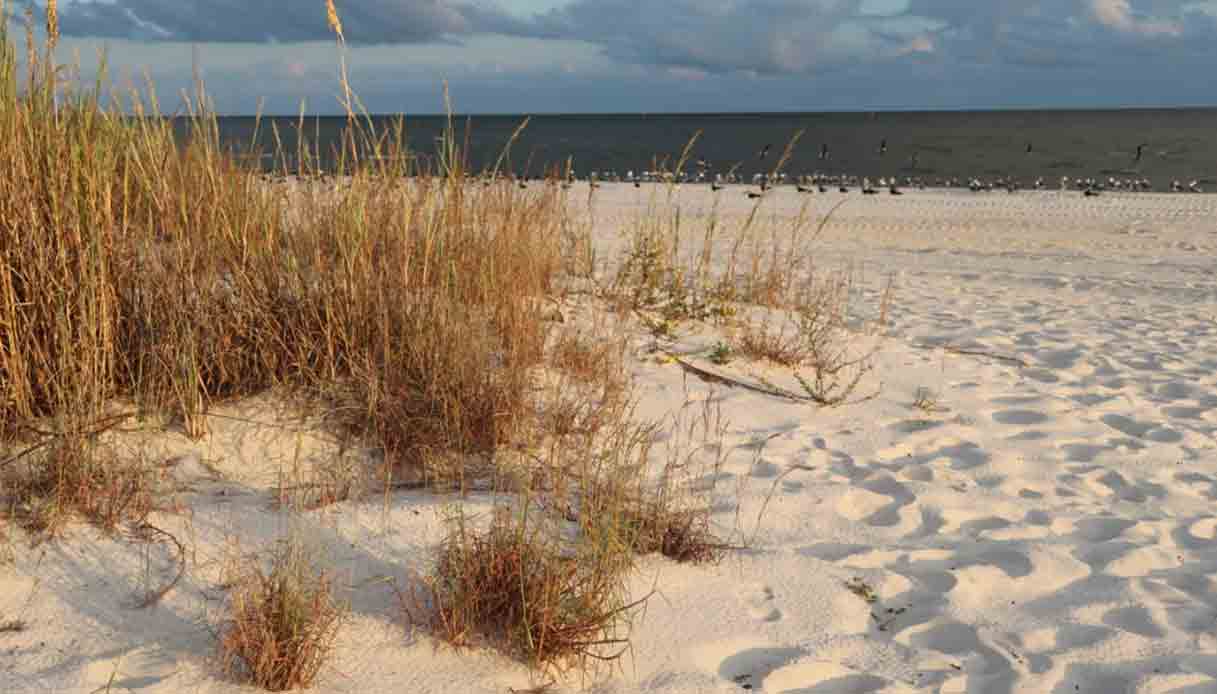 gulfport-mississippi-spiaggia