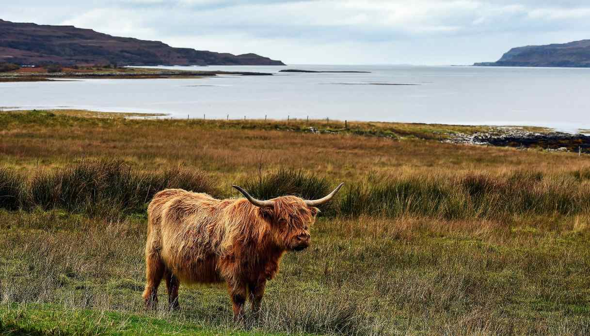 Ulva in Scozia costretta a chiudere un giorno alla settimana per un turismo improvviso