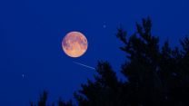 Microluna delle Fragole 2026, quando vedere la Luna piena di giugno