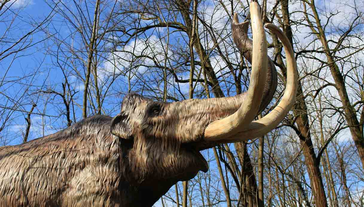 mammuthus-mostra-cadore