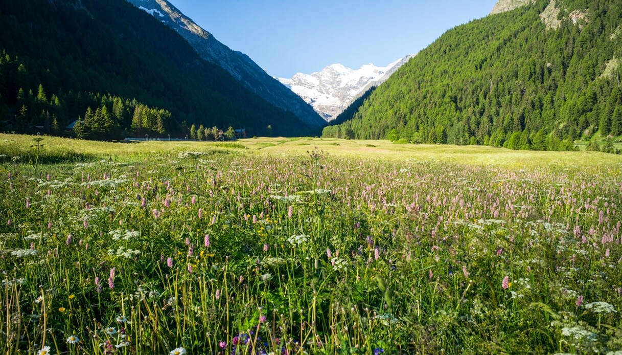 parco gran paradiso estate cosa fare escursioni