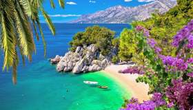 Punta Rata, la perla della Riviera di Makarska dove i pini crescono sulla roccia