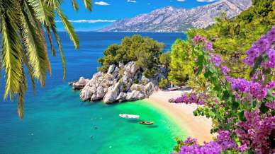 Punta Rata, la perla della Riviera di Makarska dove i pini crescono sulla roccia