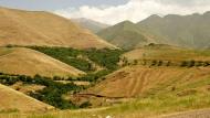 Scoperta la Pompei della Mesopotamia: dalle sabbie del Kurdistan riemerge la storia di Qabra