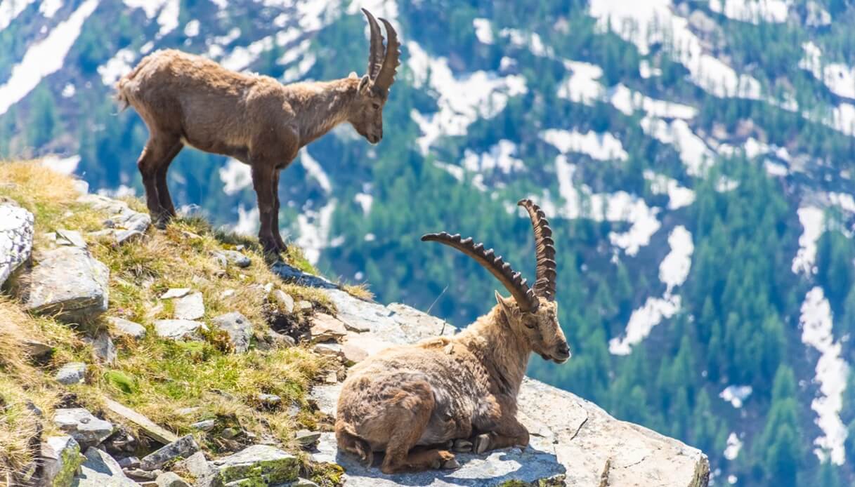 Alpi marittime trekking estate